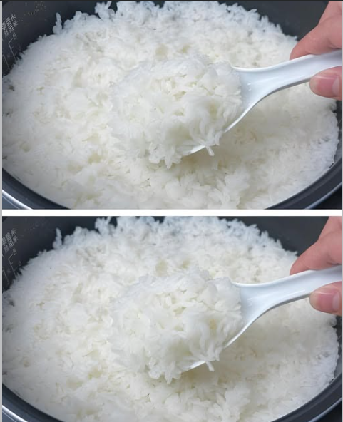 ARROZ